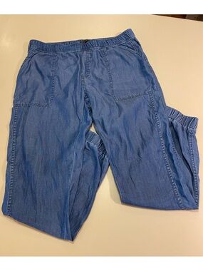 Prana women’s Tencel Joggers in Blue.
